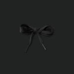 Shoelace_Black-Final.png
