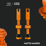 tubeless valve in Nepal