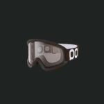 Axinite Brown Brown